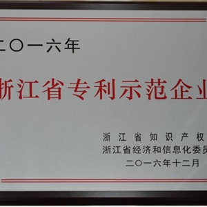 湖州新開(kāi)元 浙江省專利示范企業(yè)